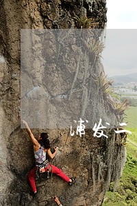 浦发二次分期逾期 浦发二次分期逾期
