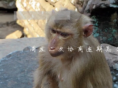 浦发二次协商逾期怎么办了 浦发二次协商逾期怎么办了
