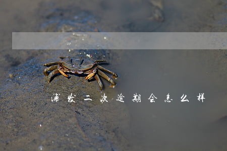 浦发二次逾期会怎么样 浦发二次逾期会怎么样