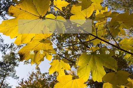 浦发二次逾期怎么协商 浦发二次逾期怎么协商