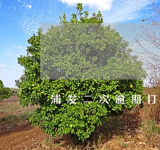 浦发二次逾期打银监会投诉有用吗 浦发二次逾期打银监会投诉有用吗