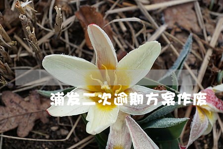 浦发二次逾期方案作废 浦发二次逾期方案作废