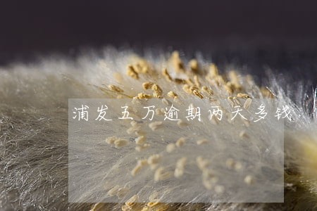 浦发五万逾期两天多钱 浦发五万逾期两天多钱