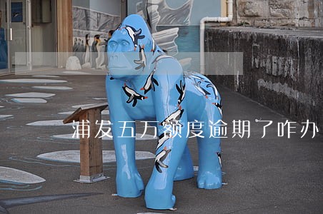 浦发五万额度逾期了咋办 浦发五万额度逾期了咋办
