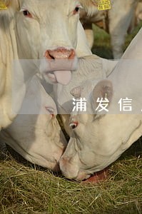 浦发信息卡可以逾期多久 浦发信息卡可以逾期多久