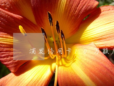 浦发信用卡10万额度逾期半年了 浦发信用卡10万额度逾期半年了