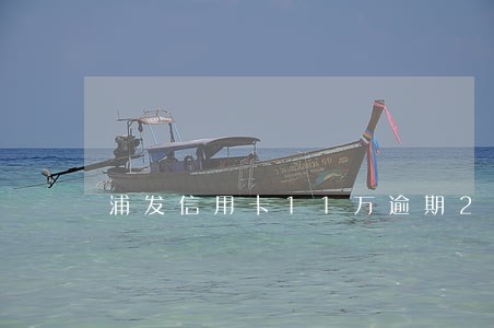 浦发信用卡11万逾期2年