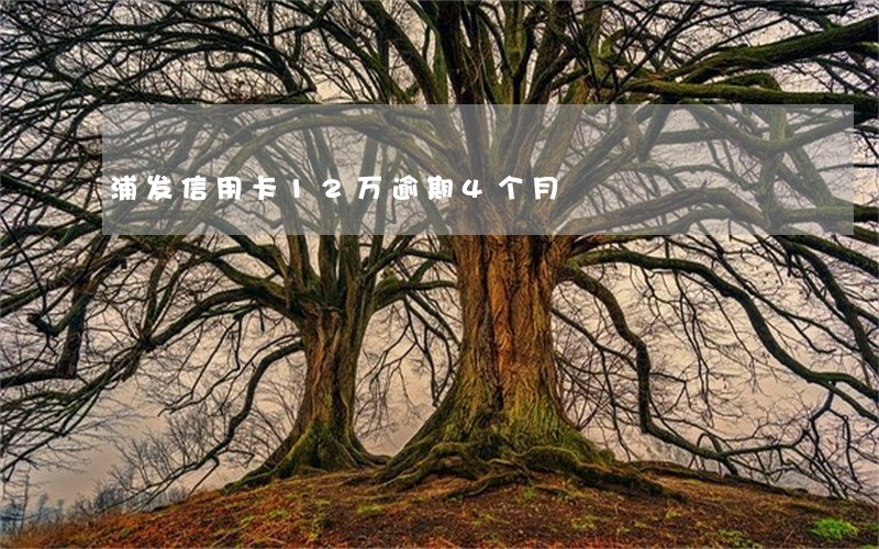 浦发信用卡12万逾期4个月 浦发信用卡12万逾期4个月