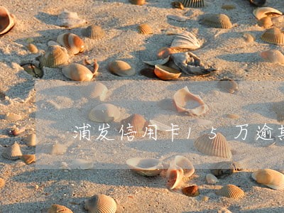 浦发信用卡15万逾期4