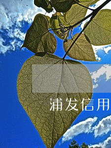 浦发信用卡15万逾期三个月