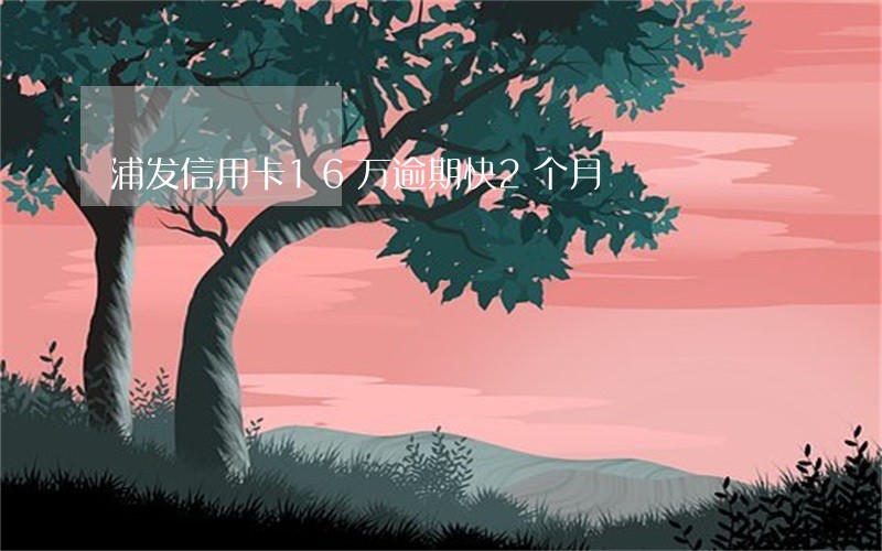 浦发信用卡16万逾期快2个月