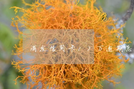 浦发信用卡17万逾期怎么办 浦发信用卡17万逾期怎么办