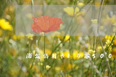 浦发信用卡1万零500逾期 浦发信用卡1万零500逾期