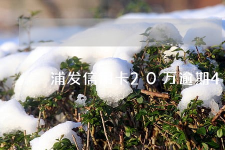 浦发信用卡20万逾期4个月 浦发信用卡20万逾期4个月