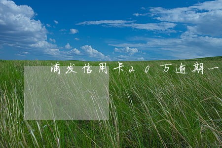 浦发信用卡20万逾期一年没还