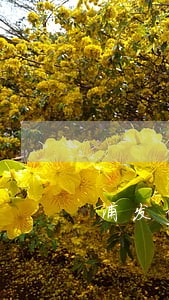 浦发信用卡2万元逾期半年