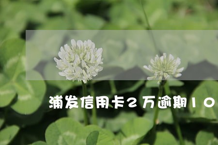 浦发信用卡2万逾期10天 浦发信用卡2万逾期10天