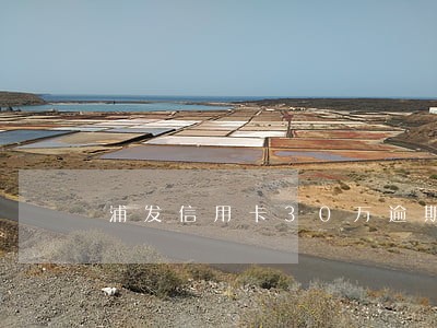 浦发信用卡30万逾期 浦发信用卡30万逾期