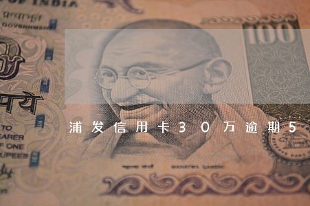 浦发信用卡30万逾期5个月 浦发信用卡30万逾期5个月