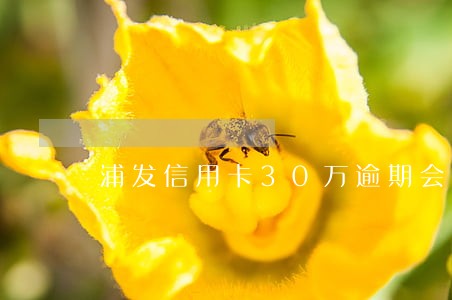 浦发信用卡30万逾期会坐牢吗 浦发信用卡30万逾期会坐牢吗