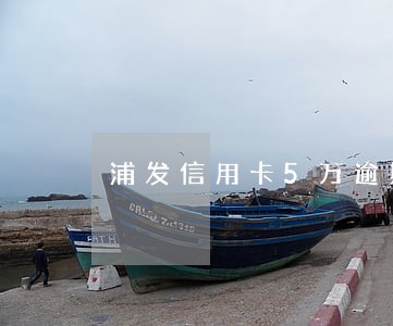 浦发信用卡5万逾期了