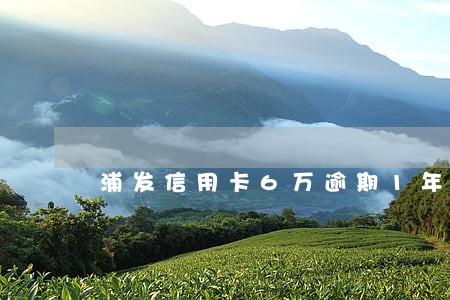 浦发信用卡6万逾期1年 浦发信用卡6万逾期1年