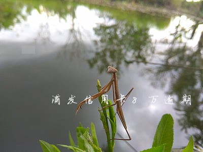浦发信用卡8万逾期
