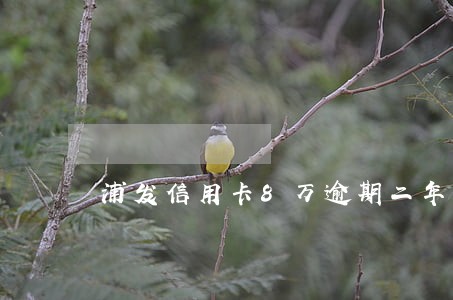 浦发信用卡8万逾期二年 浦发信用卡8万逾期二年