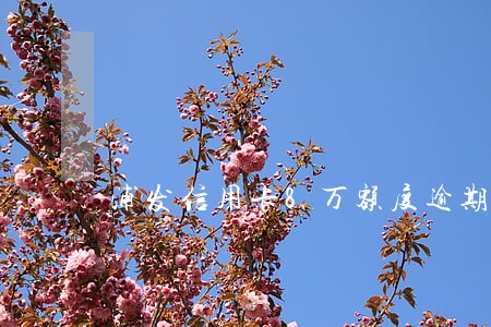 浦发信用卡8万额度逾期 浦发信用卡8万额度逾期