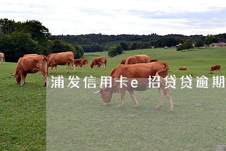 浦发信用卡e招贷贷逾期六天