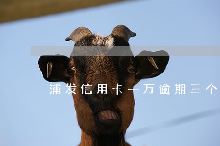 浦发信用卡一万逾期三个月 浦发信用卡一万逾期三个月