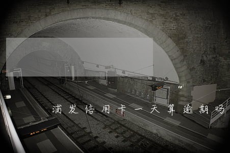 浦发信用卡一天算逾期吗 浦发信用卡一天算逾期吗