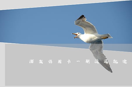 浦发信用卡一期没还就逾期了 浦发信用卡一期没还就逾期了