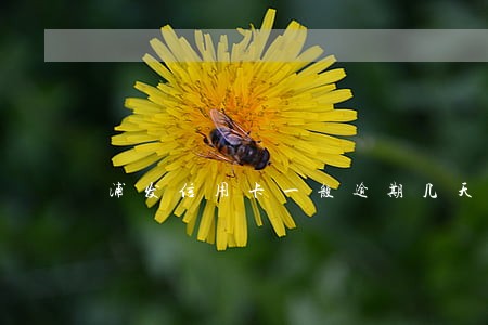 浦发信用卡一般逾期几天上征信