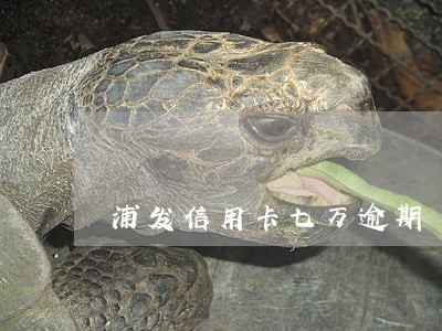 浦发信用卡七万逾期 浦发信用卡七万逾期