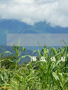 浦发信用卡万用金备用金逾期 浦发信用卡万用金备用金逾期