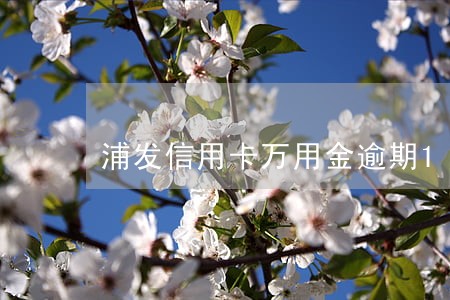 浦发信用卡万用金逾期1年了 浦发信用卡万用金逾期1年了
