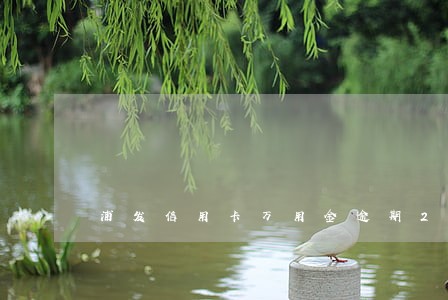 浦发信用卡万用金逾期20万 浦发信用卡万用金逾期20万