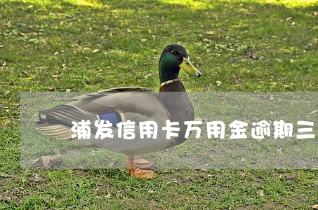 浦发信用卡万用金逾期三个月了