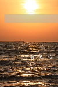 浦发信用卡三万逾期一天利息多少 浦发信用卡三万逾期一天利息多少