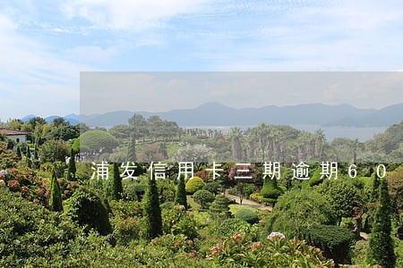 浦发信用卡三期逾期60天 浦发信用卡三期逾期60天
