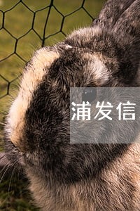 浦发信用卡不上报逾期 浦发信用卡不上报逾期