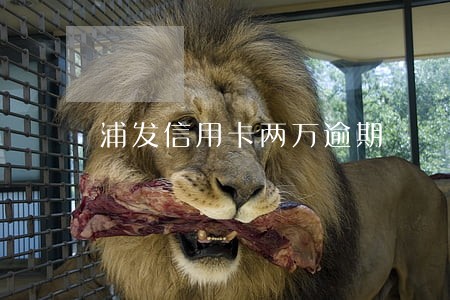 浦发信用卡两万逾期