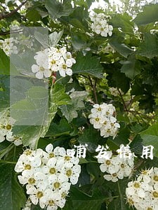 浦发信用卡为什么有个月逾期 浦发信用卡为什么有个月逾期