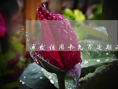 浦发信用卡九万逾期二十天 浦发信用卡九万逾期二十天