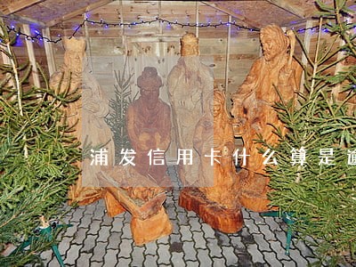 浦发信用卡什么算是逾期