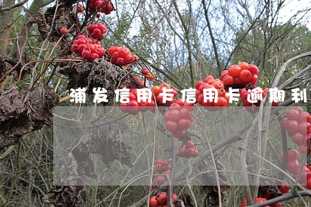 浦发信用卡信用卡逾期利息怎么算 浦发信用卡信用卡逾期利息怎么算