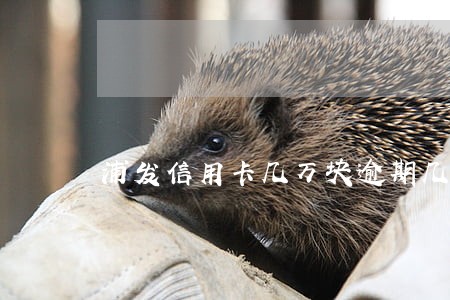 浦发信用卡几万块逾期几天