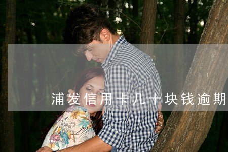 浦发信用卡几十块钱逾期两天