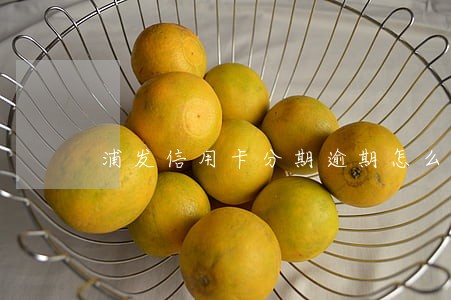 浦发信用卡分期逾期怎么处理 浦发信用卡分期逾期怎么处理